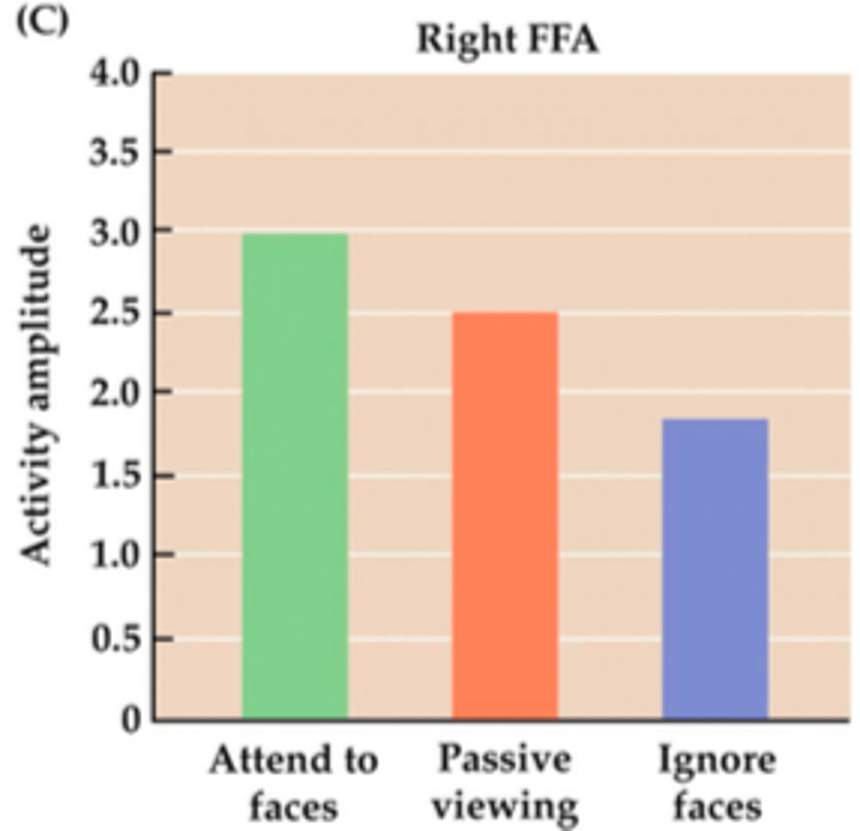 <p>A study was done by Gazzaley et al. in 2005 on visual attention to objects, In the fusiform face area the activity was greatest when the subjects were attending to faces. They were also attending to scenes. And were told to attend to one or the other and ignore the other.</p>