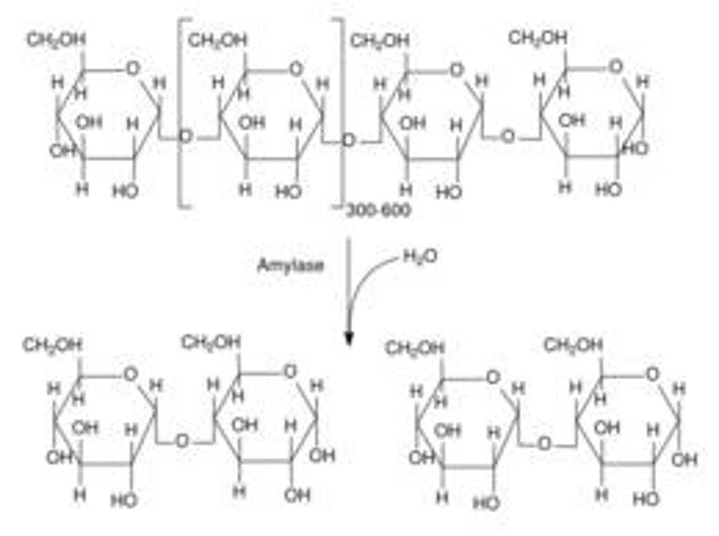 <p>includes chewing, mixing food with saliva, churning food in the stomach, and segmentation</p>