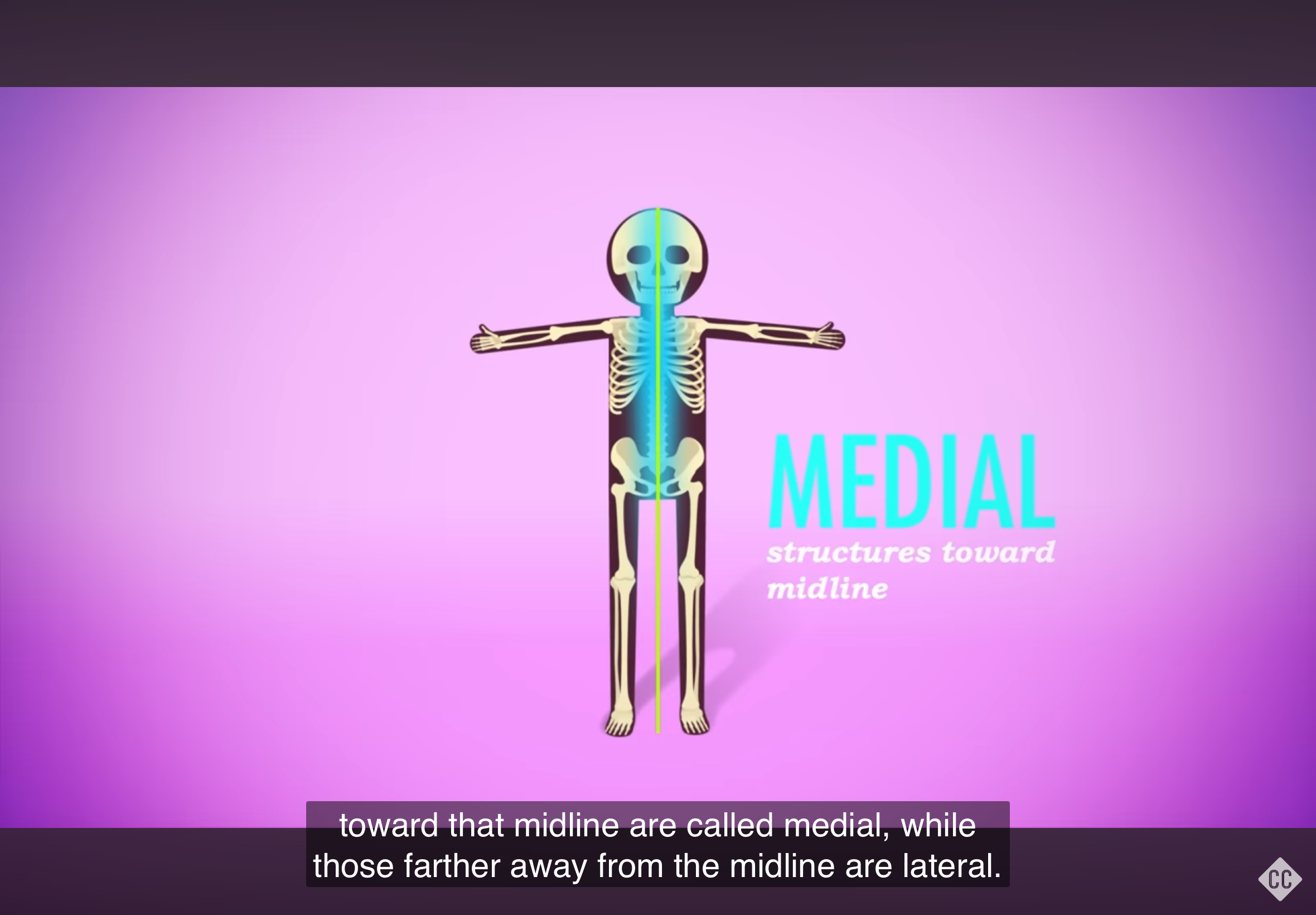 <p>Refers to a position closer to the midline of the body.</p>