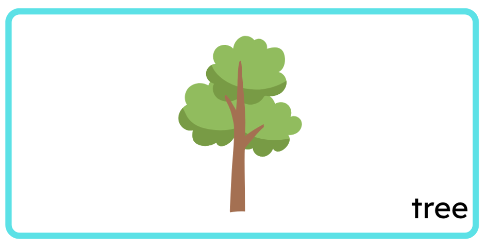 <p>tree</p>