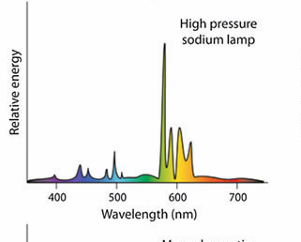 <p>High pressure Sodium lamp</p>