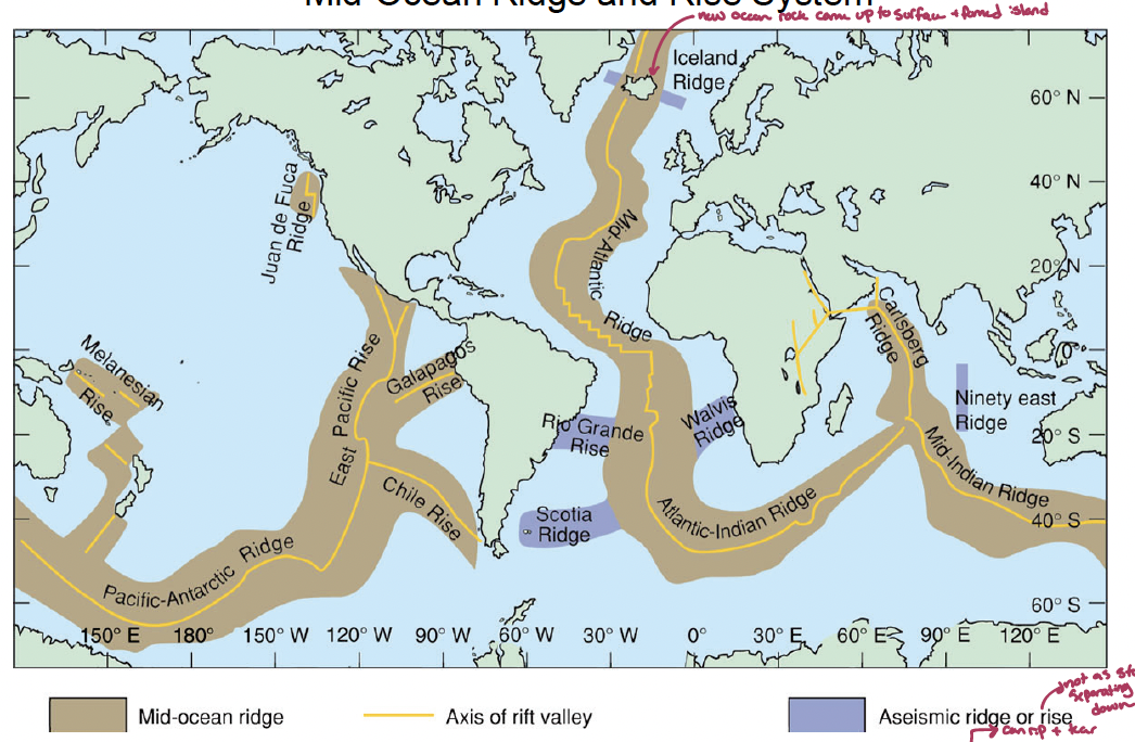 <p>it is a 65,000<span style="font-family: Arial; line-height: normal; font-size: 12.5px;"><span> </span></span>km mountainous chain (recent basalt, 2 km high) at spreading (can rip and tear) center, can (1) be displaced by transform faults (fracture zones) &amp; (2) form islands</p><p>rise is less steep due to it separating faster leading to the rock cooling down quicker</p>