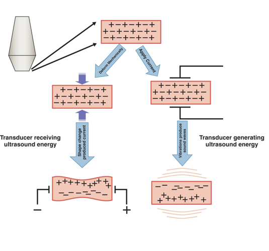 <ul><li><p>The Currie brothers recognized the <strong>piezoelectric effect</strong>.</p><ul><li><p>This is the process whereby a material, such as a crystal or element within an ultrasound transducer, generates electricity and changes shape with application of pressure.</p></li></ul></li><li><p>The crystals in the transducer produce ultrasound waves.</p></li></ul><p></p>