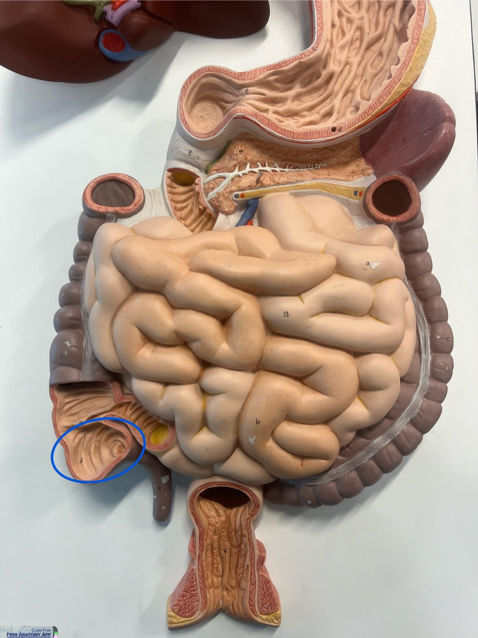 <p>what is this?</p>