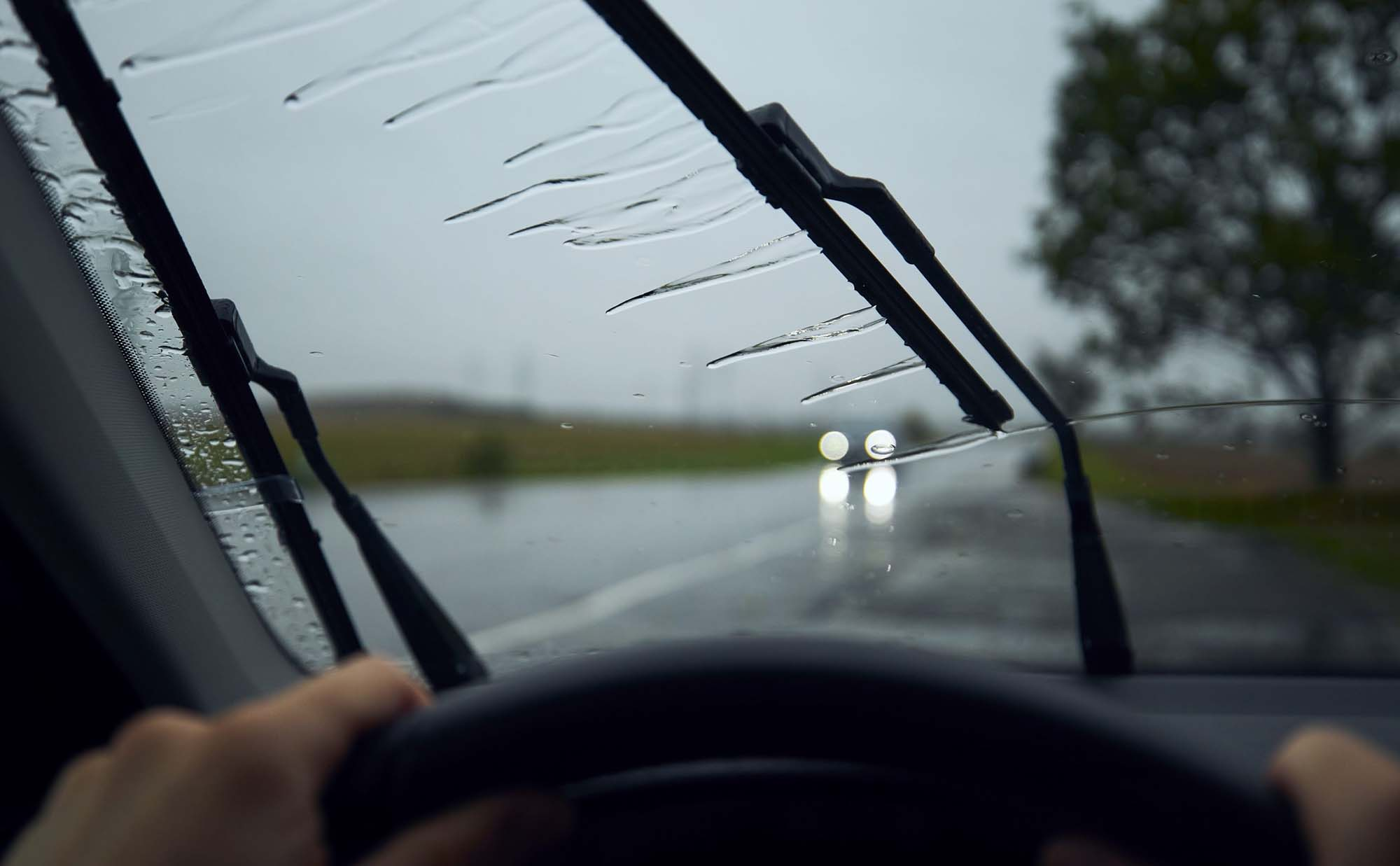 <p>windshield wiper</p>