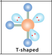 <p><strong>T-shaped geometry</strong></p>