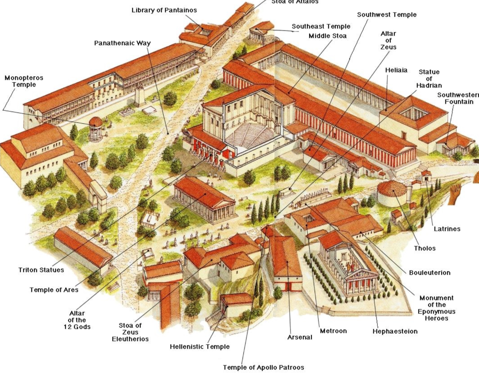 term image