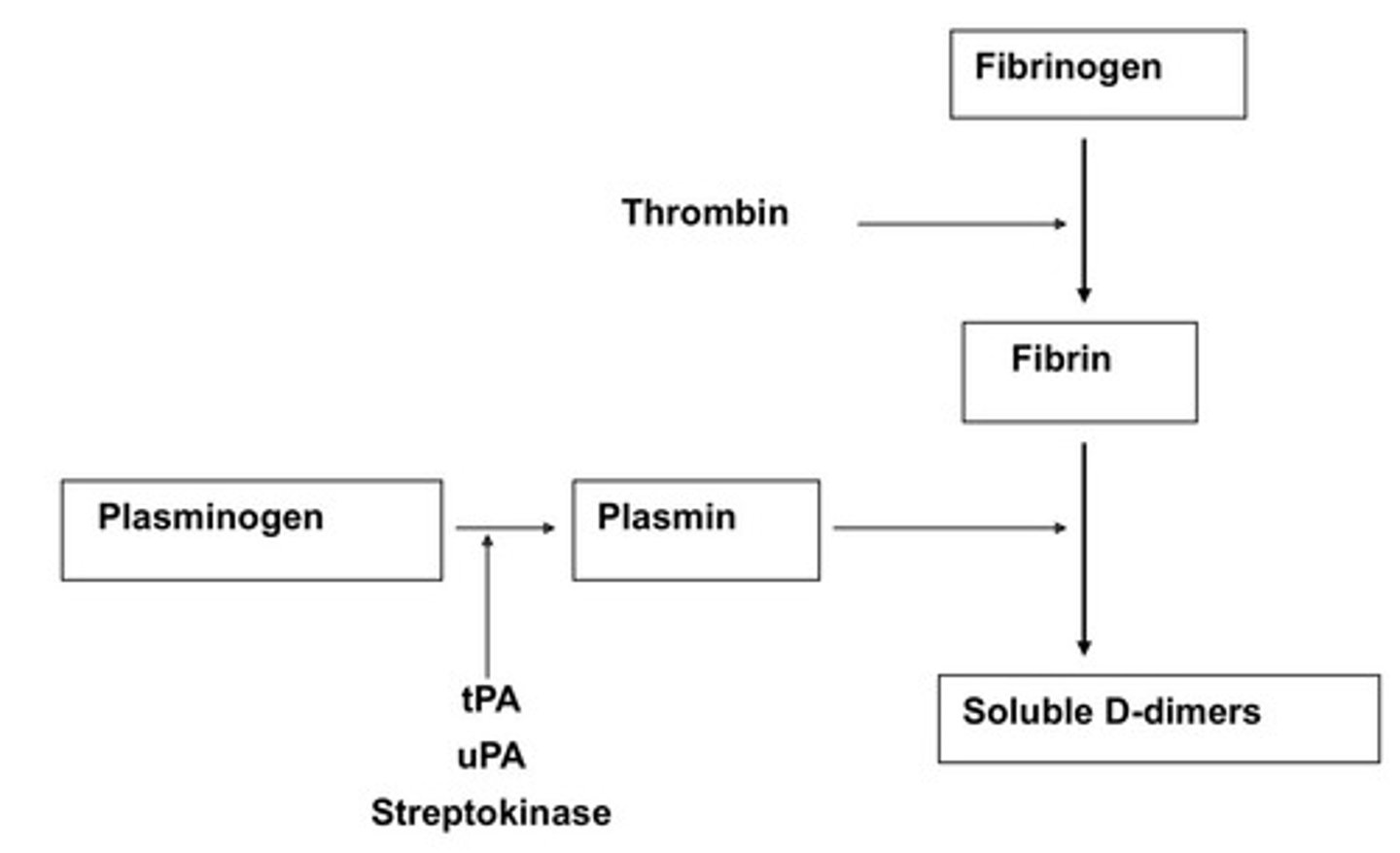 <p>Initiates local fibrinolysis by binding to fibrin in a thrombus and converting entrapped plasminogen to plasmin</p>