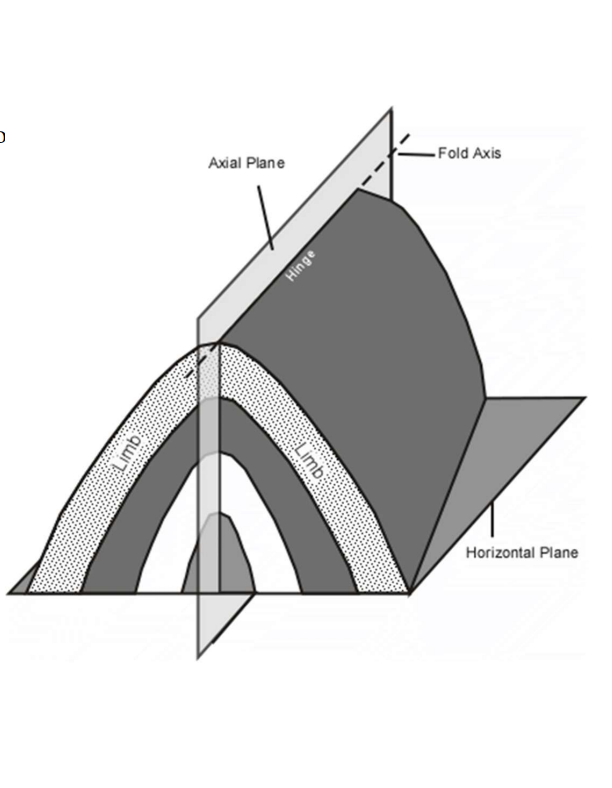 <ul><li><p><strong>Limb (vecksida):</strong> the sloping sides of a fold. They are the parts of the rock layers between two hinges.</p></li><li><p><strong>Hinge (veckskärna):</strong> the point or zone of maximum curvature in a fold — for example, the crest of an anticline (upward fold) or the trough of a syncline (downward fold).</p></li></ul><p></p>