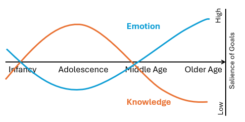<p>-in life we have different motivations and these motivations become more or less important during different parts of life </p><p>-during adolescence and adulthood → knowledge goals </p><p>-when older these become less important and focus more on emotional satisfaction </p><p></p>