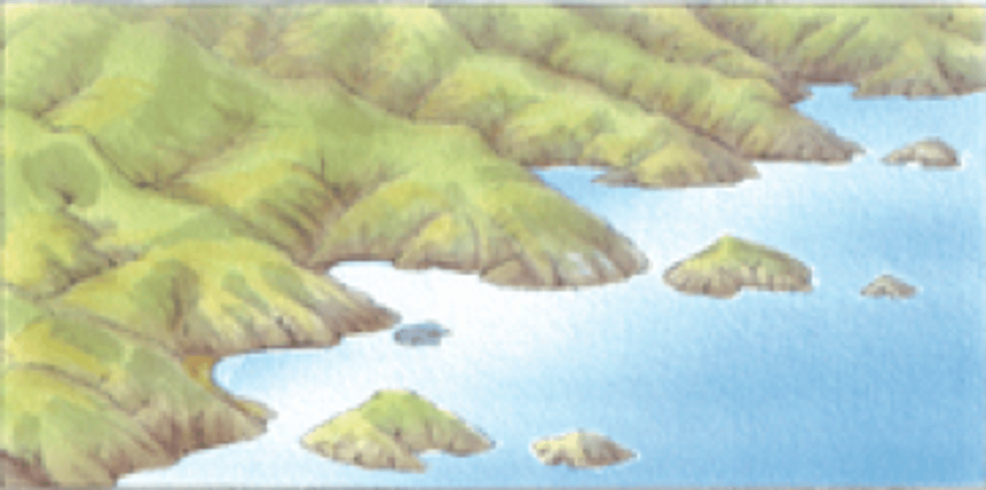 <p>A submerged river valley, typically V-shaped, formed by a rise in sea level.</p>