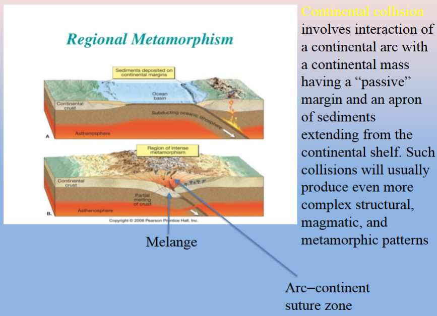 <p>Continental collision involves interaction of a continental arc with a continental mass having a “passive” margin and an apron of sediments extending from the continental shelf. Such collisions will usually produce even more complex structural magmatic and metamorphic patterns</p>
