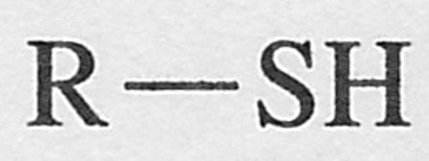 <p>functional group</p>