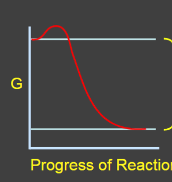 <p>-G state will decrease </p><p>Product: ADP  </p>