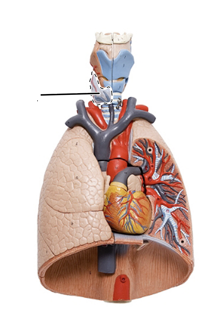 <p>What is this?</p>