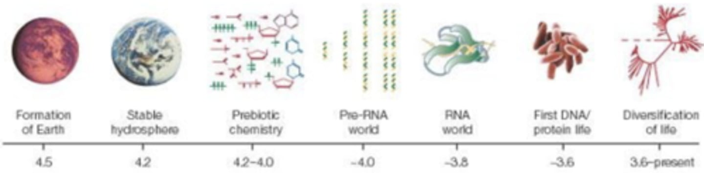 <p>· Prebiotic/organic evolution</p>