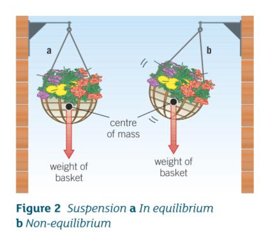 <ol><li><p>Comes to rest (equilibrium) with its CoM directly below the point of suspension</p></li><li><p>Its weight doesn’t exert a TE on the object → as its CoM is directly below the point of suspension</p></li></ol>