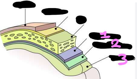 <p>1?</p>