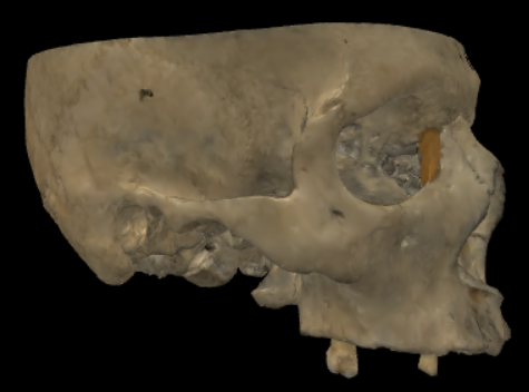term image