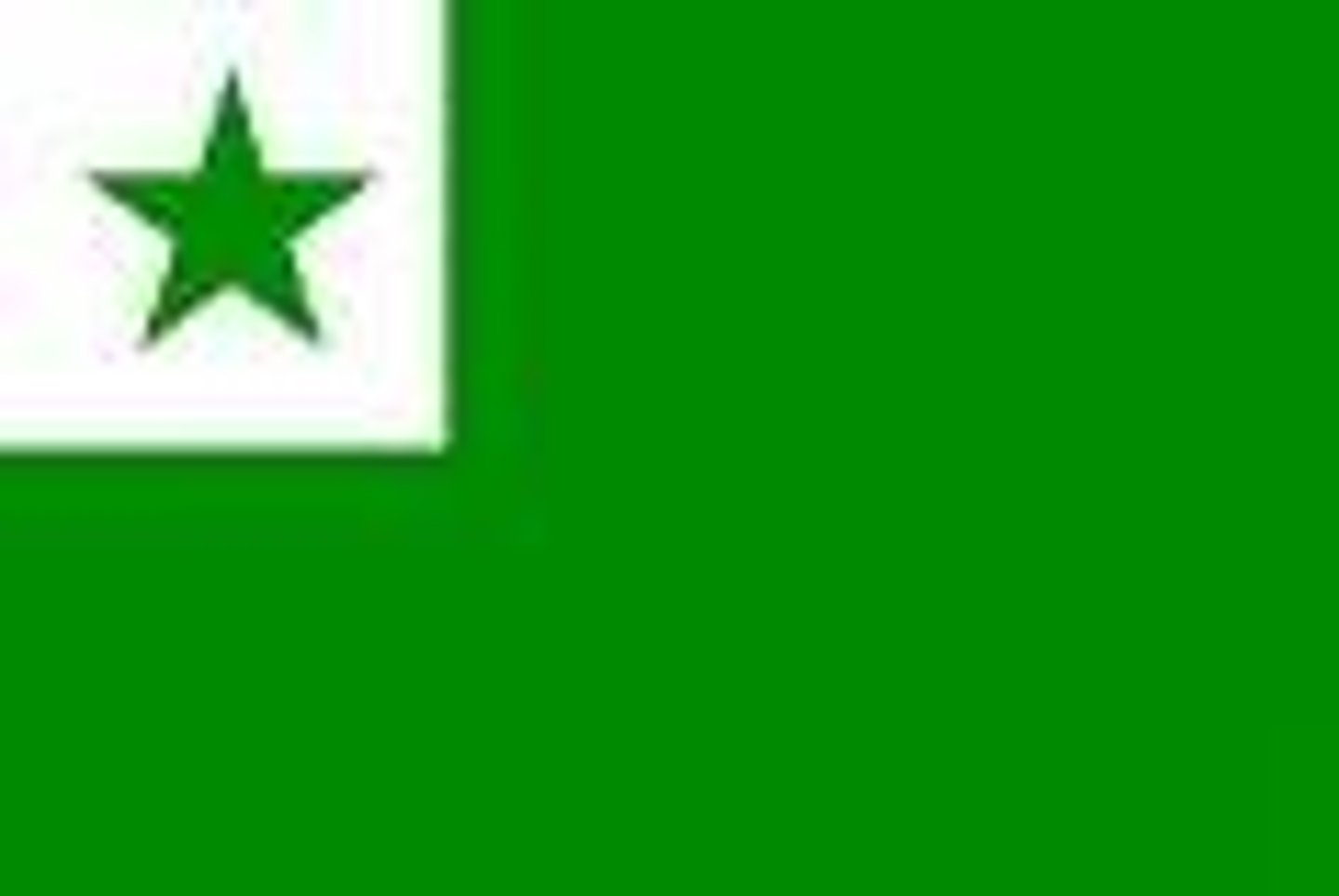 <p>QUE BANDEIRA VOCÊ COMPROU? EU COMPREI A BANDEIRA DO ESPERANTO.</p>
