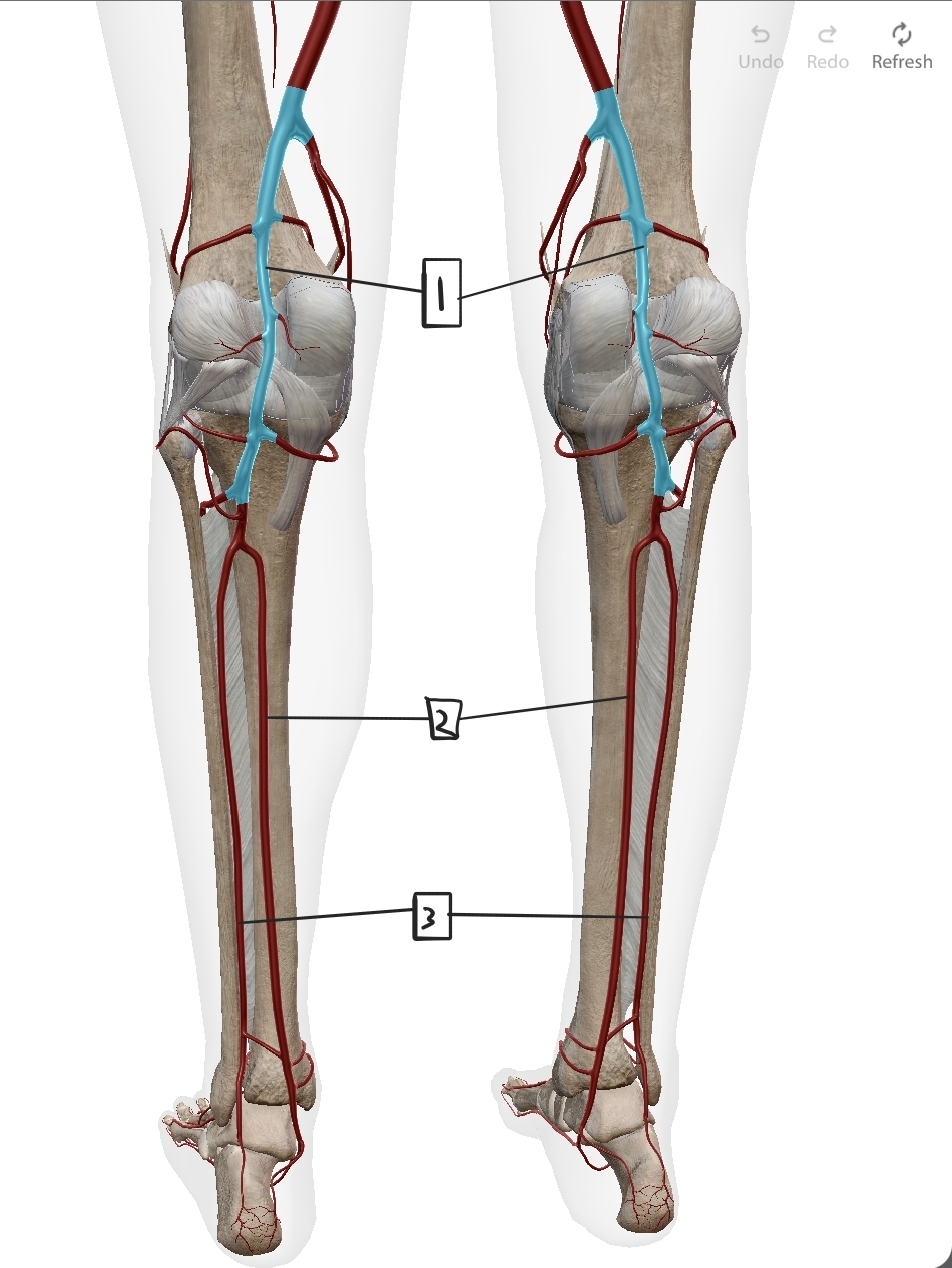 <p>What are these?</p>