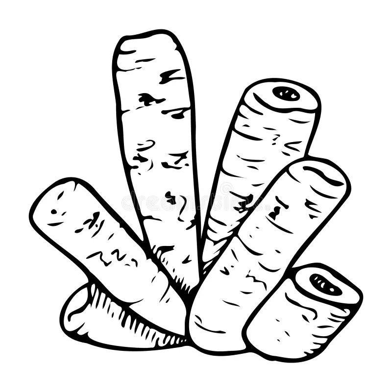 <p>tube sponge SP</p>