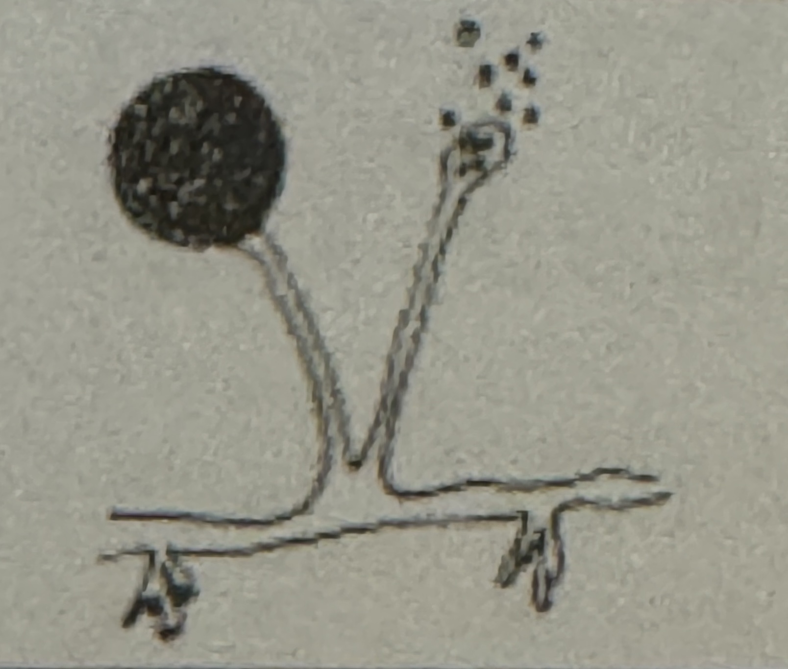 <p><span>what is illustrated</span></p>