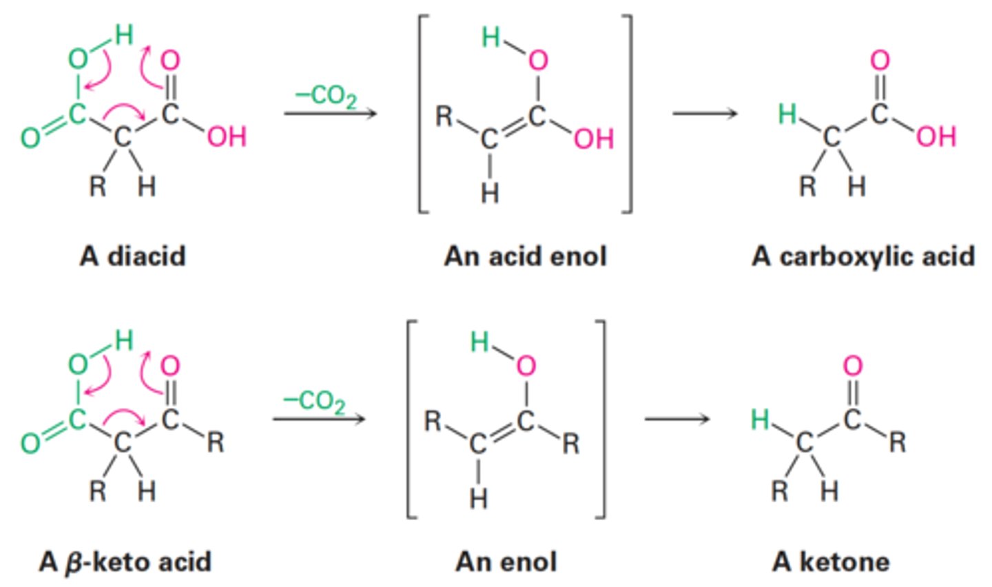 <p>What is the most critical step of malonic ester synthesis?</p>