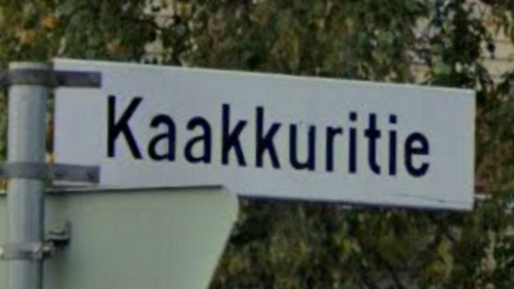 term image