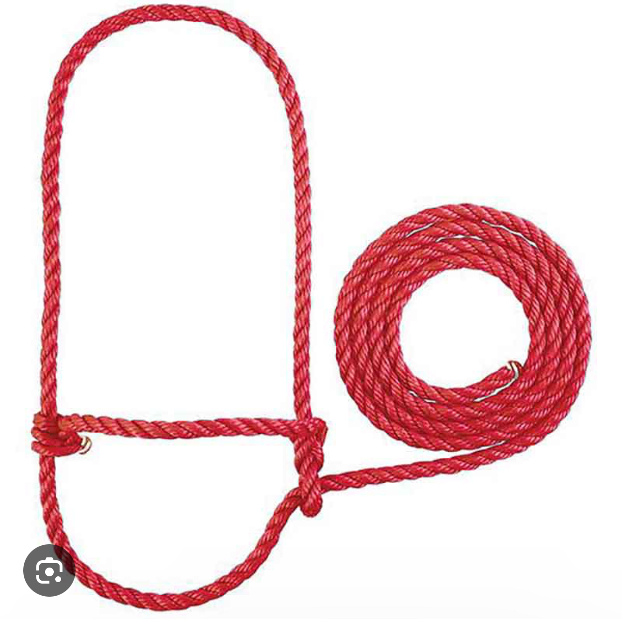 <p>Cow halter</p>
