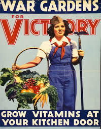 <p>Victory Gardens</p>