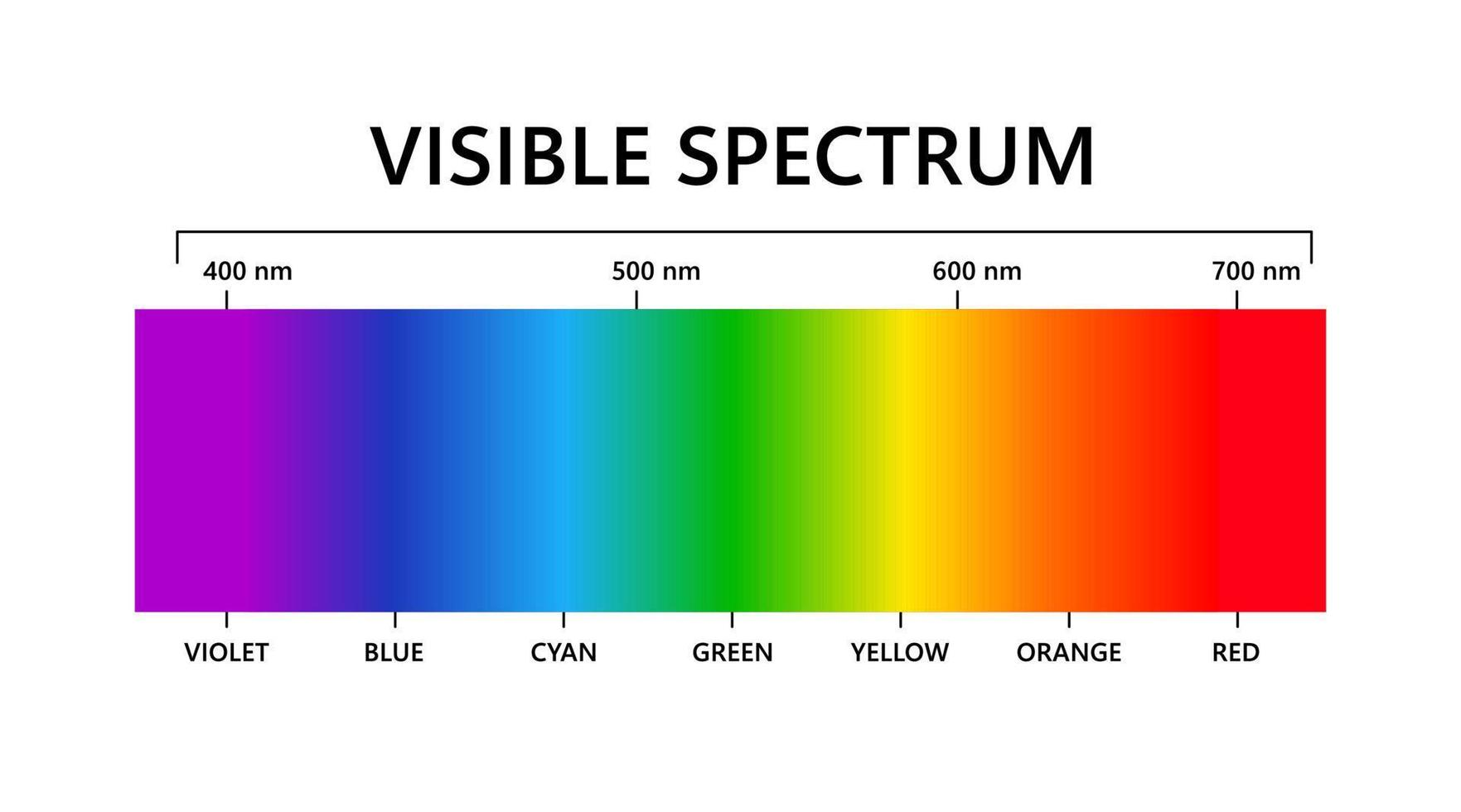 <p>Red</p><p>Orange</p><p>Yellow</p><p>Green</p><p>Cyan </p><p>Blue </p><p>Violet</p>