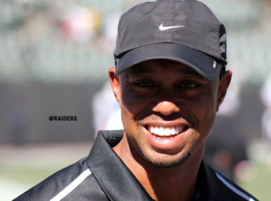 <p>Tiger Woods</p>