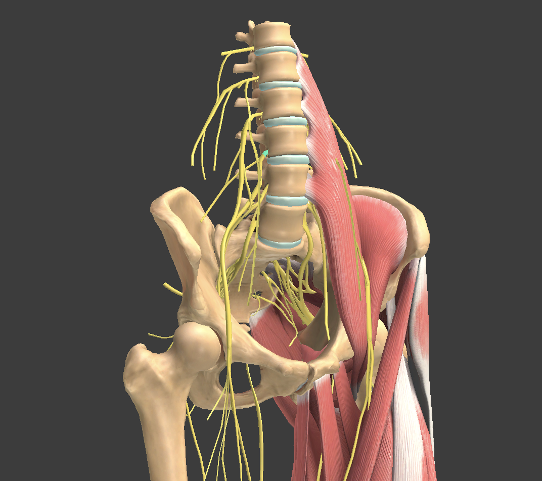 <p>What structure is shown?</p>