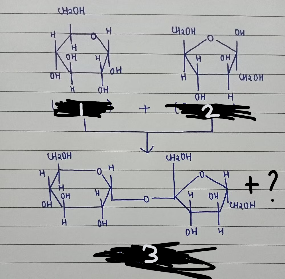 <p>1+2=3+?</p>