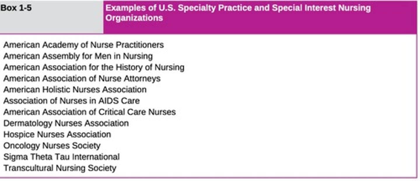 <p>Include areas such as anesthesia, mental health, school nursing, cardiac care, pediatrics, surgery, oncology, obstetrics, and geriatrics.</p>