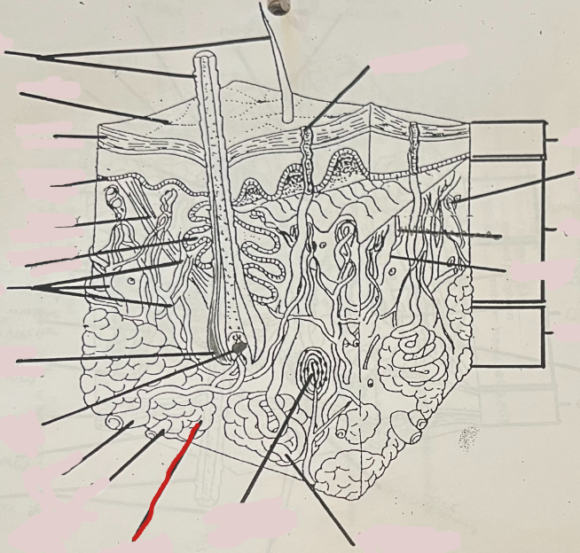<p>What is this?</p>