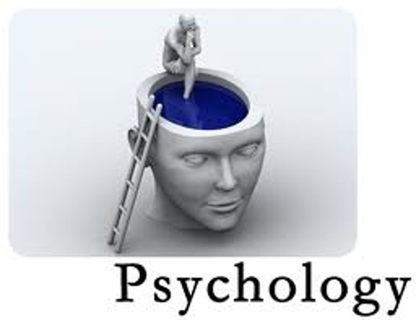 <p>psychology</p>