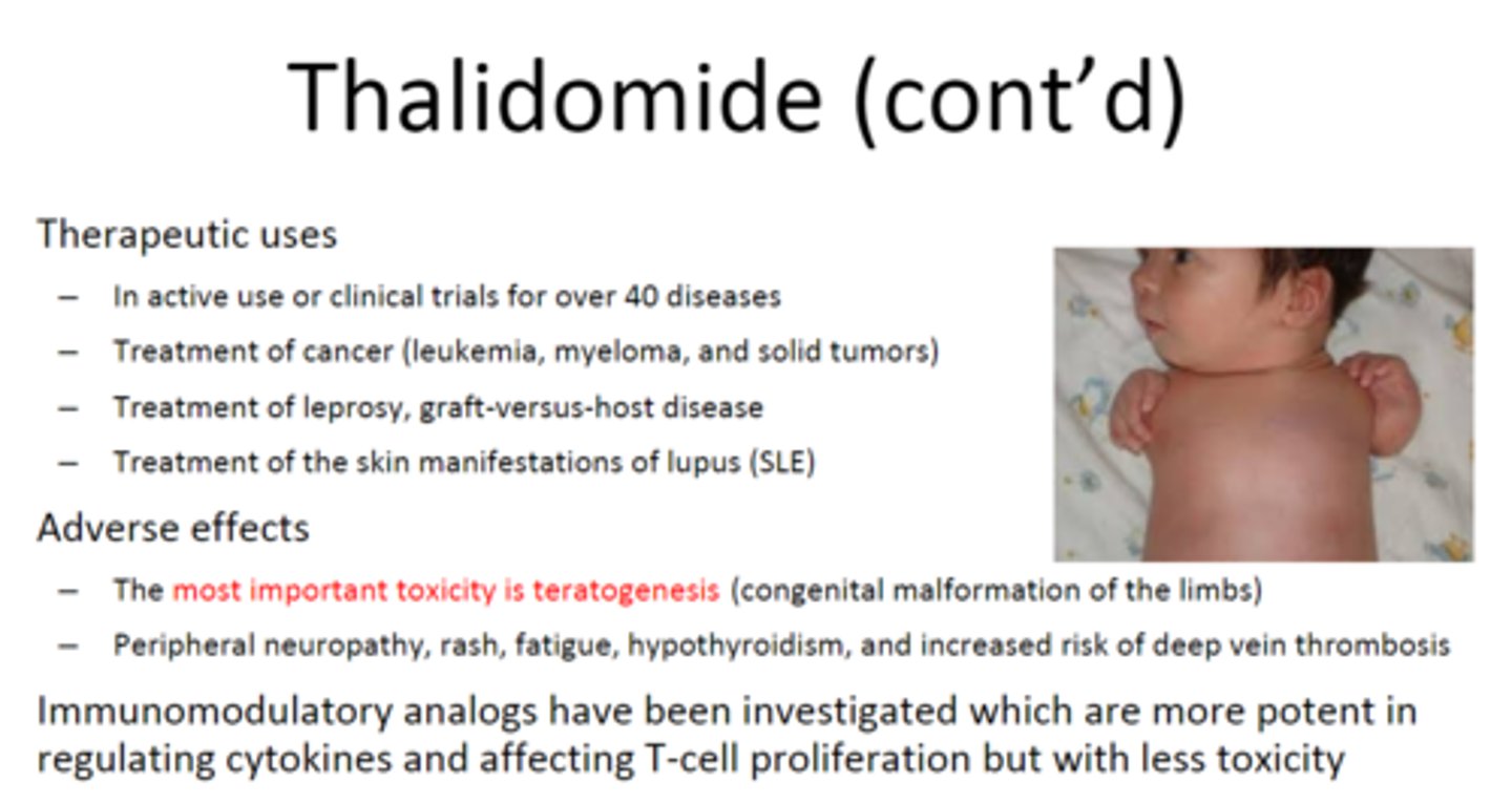 <p>thalidomide</p>