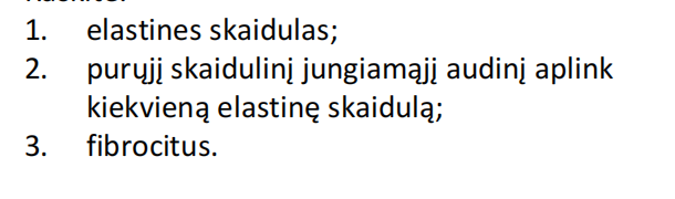 <p>Glaudusis taisyklingas skaidulinis (elastinis) jungiamasis audinys (elastinio raiščio skersinis pjūvis)</p>