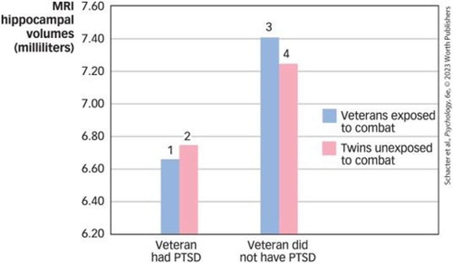 <p>Heightened amygdala activity, decreased medial prefrontal cortex activity, and smaller hippocampus.</p>