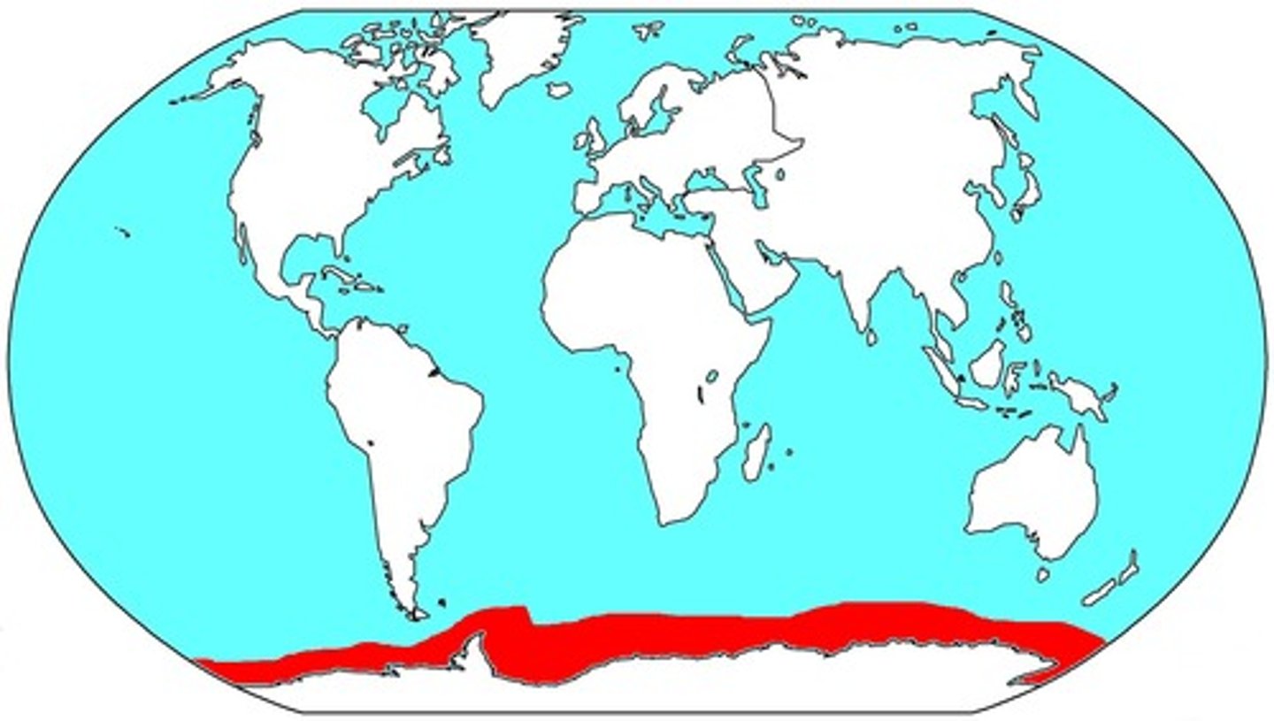 <p>Above Antarctica</p>