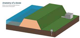 <p>What is a levee?</p>
