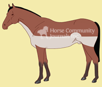 <ul><li><p>only removes hair from part of the neck, belly, and hindquarters </p></li><li><p>appropriate for horses in light to medium work</p></li><li><p><span style="background-color: transparent;"><span>Keeping hair on parts of the body that need to stay warm during winter</span></span></p></li><li><p><span style="background-color: transparent;"><span>Gets hair off places that get hottest</span></span></p></li></ul><p></p>