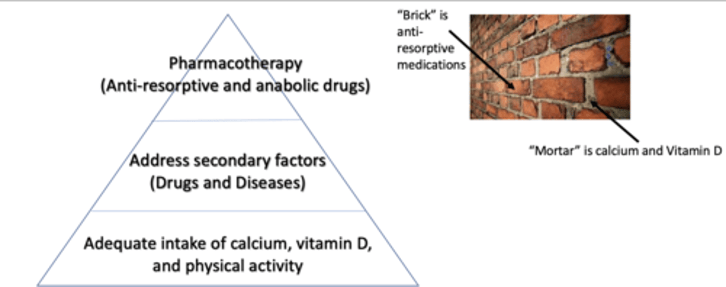 <p>steps for addressing considerations of therapeutics for Ca2+ balance:</p>