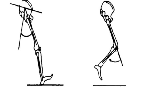<p>moving body part to split the body left and right</p>