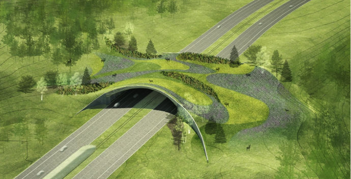 <p>Habitat corridors</p>
