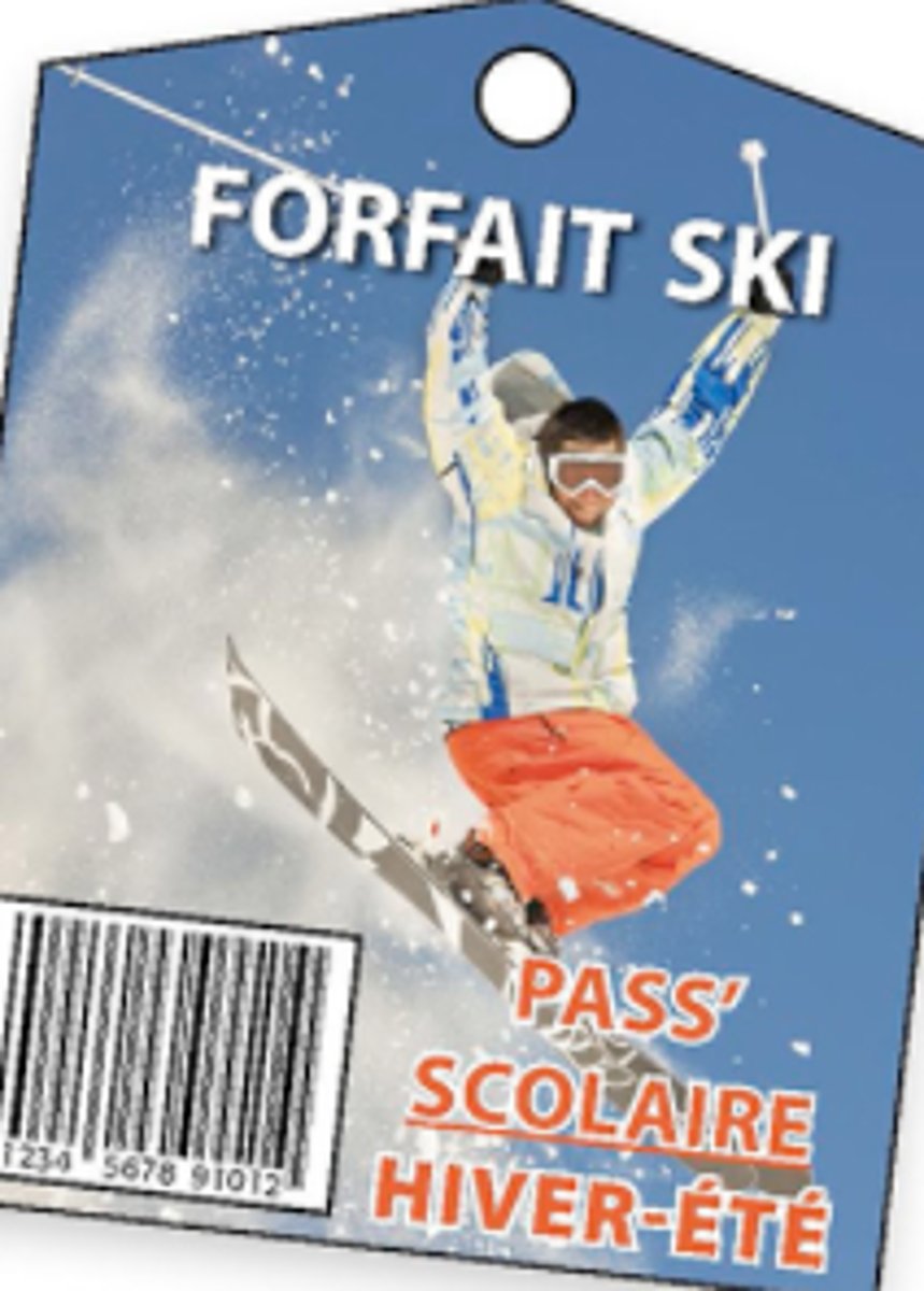 <p>ski pass</p>