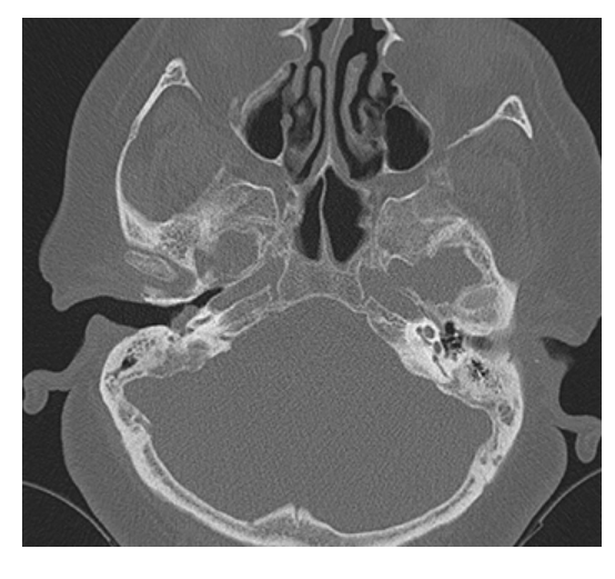 <p>What does the figure show?</p>