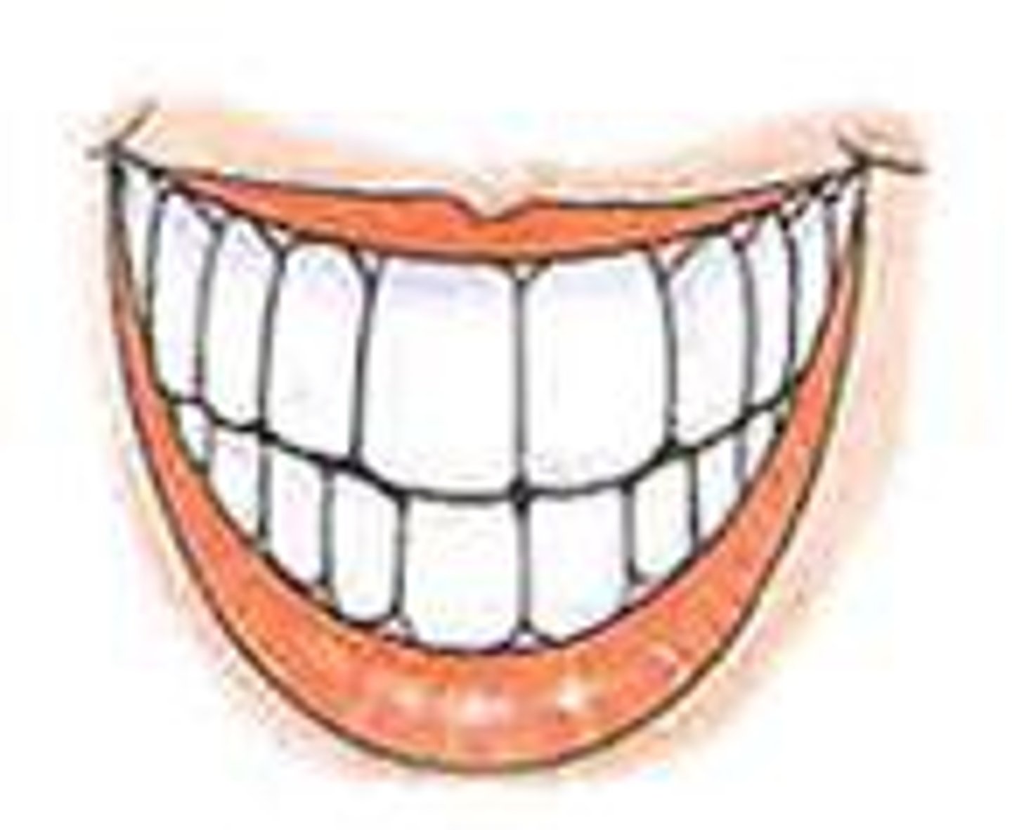 <p>teeth</p>